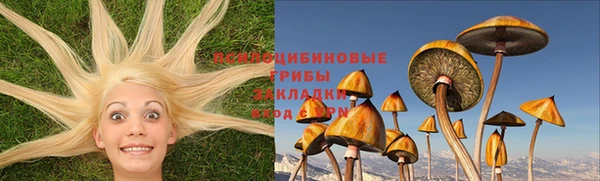 mix Надым