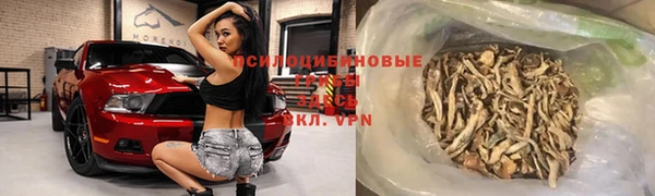 mix Надым