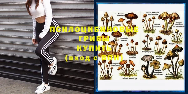 mix Надым